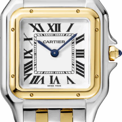 Unworn Cartier Panthère de Cartier, Stainless Steel, 18k Yellow Gold, 29mm x 37mm, Ref# W2PN0007, box and papers