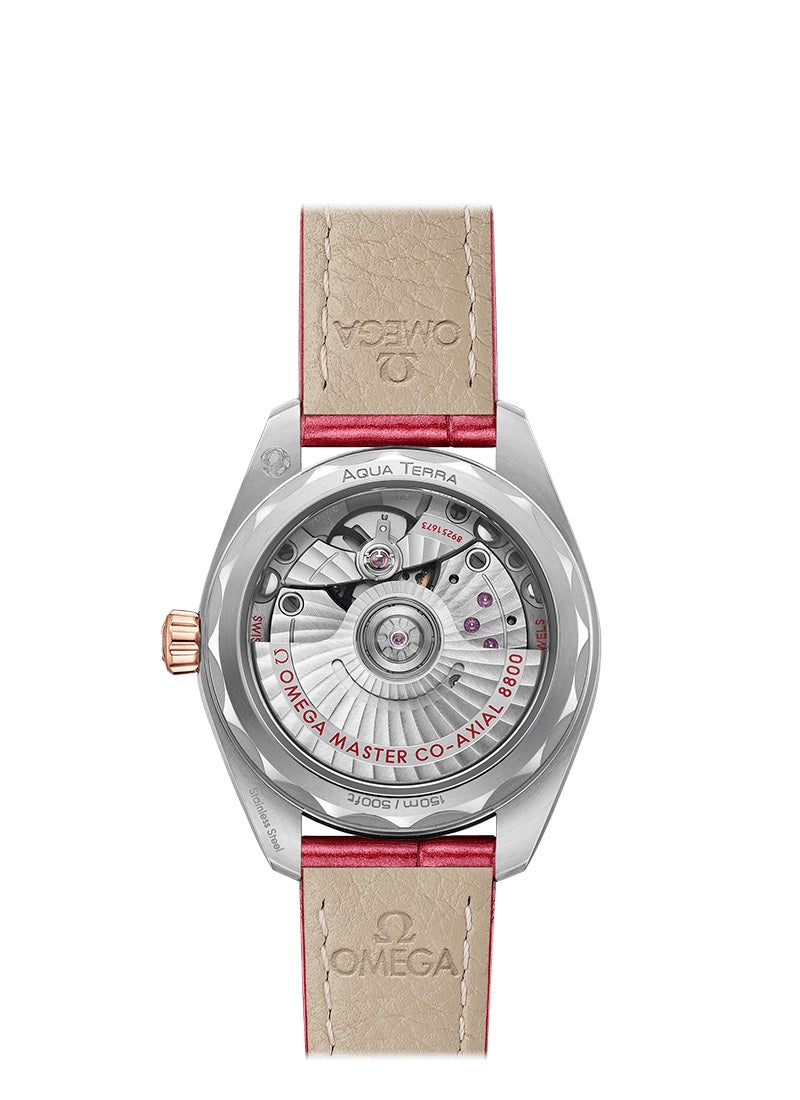 Omega Seamaster AQUA TERRA 150M CO‑AXIAL MASTER CHRONOMETER Ref# 220.23.34.20.60.001 - Image 2